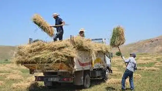 Besicilerin Kış Hazırlığı