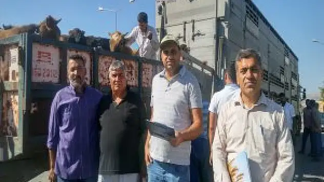 Kale'de 'Genç Çiftçilere' Damızlık Hayvan Dağıtıldı