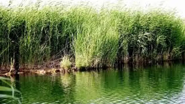 Kars'taki Doğa Güzellikleri Görenleri Büyülüyor