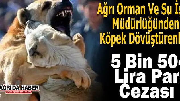 Köpek Dövüştürenlere Orman Su İşlerinden Ceza