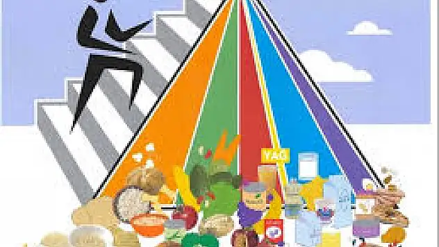 Bingöl'de Sağlıklı Yaşam Konferans'ı Düzenlandi