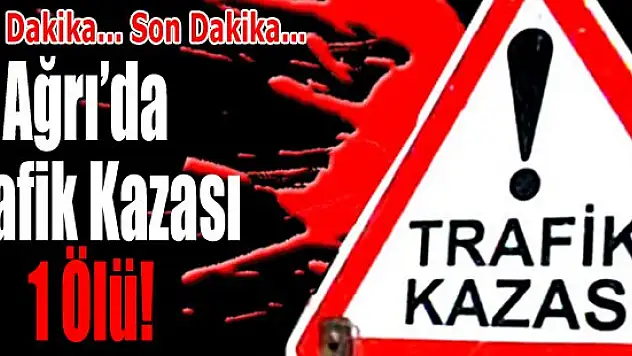 Ağrı'da Trafik Kazası: 1 Ölü!