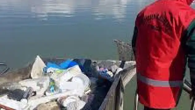 Van Gölü'nün Yüzeyi Temizleniyor