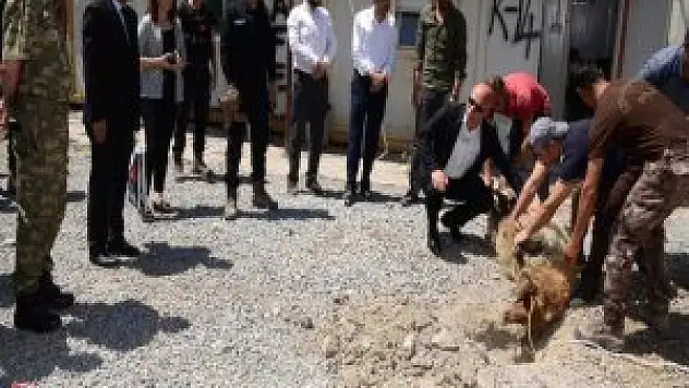 Hakkari'de Operasyondan Dönen Polisler İçin Kurban Kesildi
