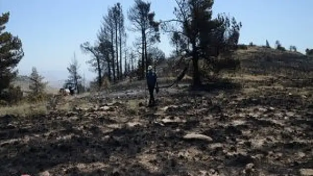 Sarıkamış'taki Örtü Yangını Söndürüldü