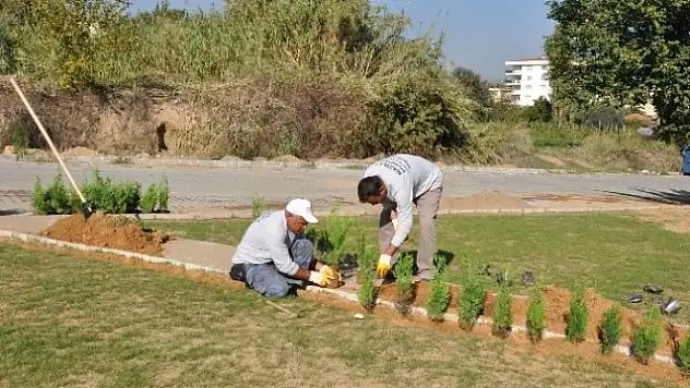 Gürpınar'da Yeşillendirme Yapıldı