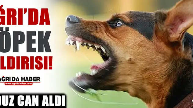 Ağrı'da Köpek Saldırısı Sonucu 1 Kişi Hayatını Kaybetti