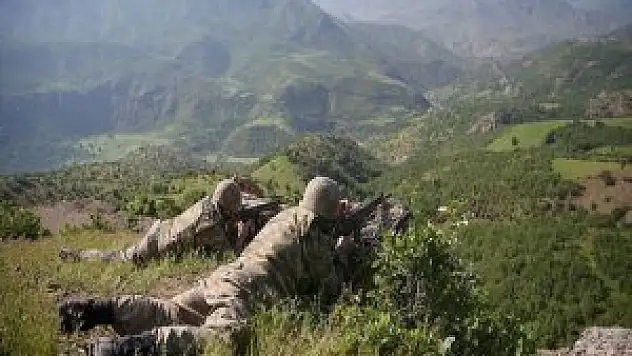 Şırnak Uludere'de 2 Terörist Etkisiz Hale Getirildi