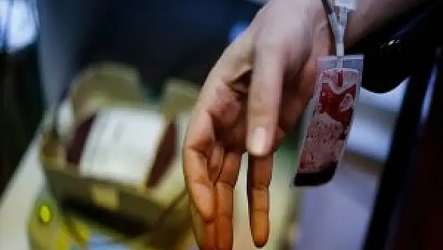 Kök Hücre Bağışçı Sayısı 241 bin 380 oldu
