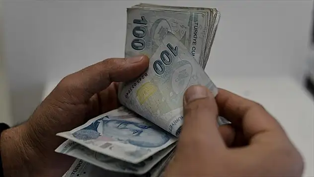'Kredi Desteğinden 7 Ayda 446 Bin Esnaf Yararlandı'