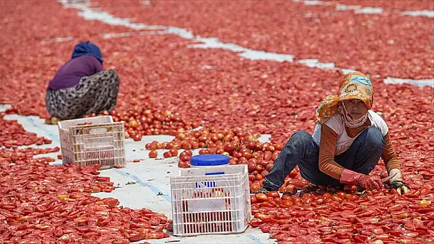 Ege Ovaları Kırmızıya Büründü