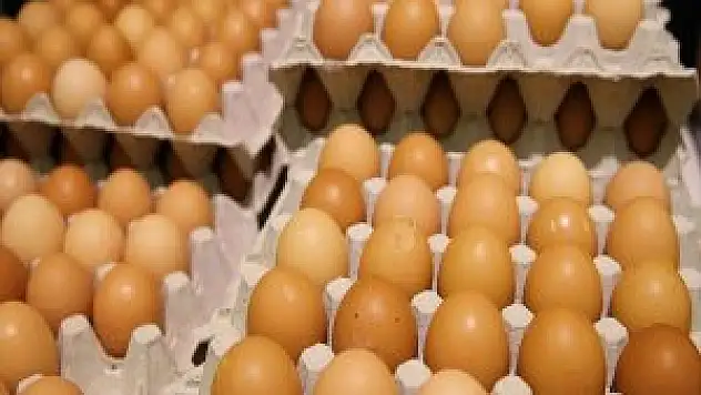 Hollanda Hükümetinden 'İlaçlı Yumurta' Açıklaması