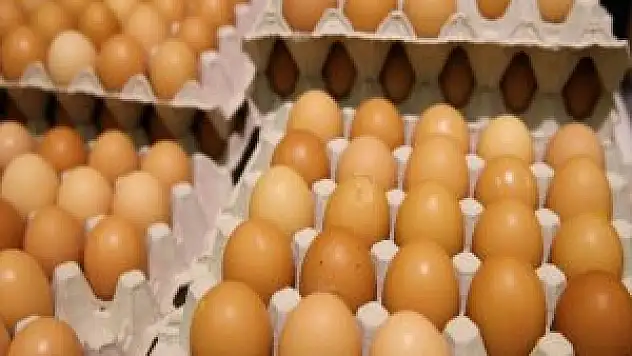 Türkiye, Avrupa'daki Yumurta Krizini Önlem Açısından İzlemeye Aldı