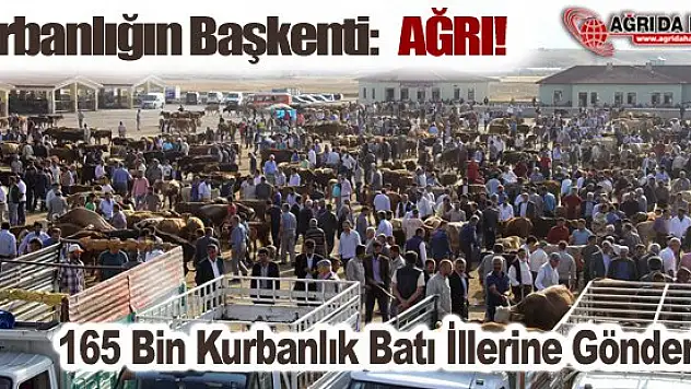 Kurbanlığın Başkenti: AĞRI!