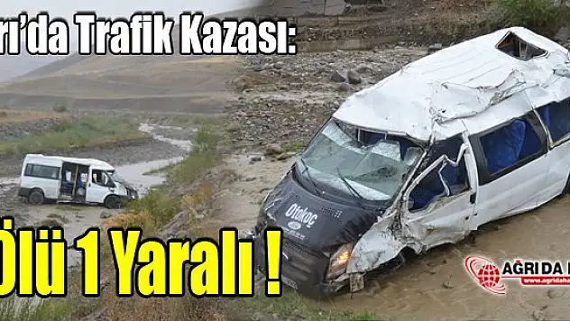 Ağrı'daki Trafik Kazası: 1 Ölü 1 Yaralı!