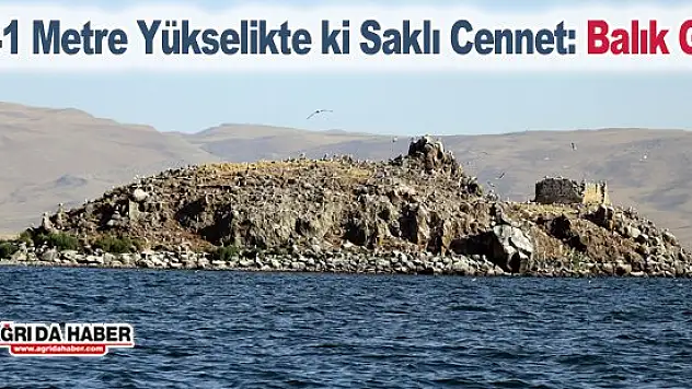 2241 Metre Yükseklikte ki Saklı Cennet: Balık Gölü