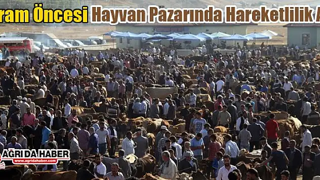 Bayram Öncesi Hayvan Pazarında Hareketlilik Arttı