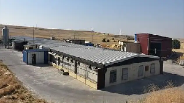 Diyarbakırlı Girişimci Destemle Kurduğu Çiftlikte 60 Kişinin Patronu Oldu