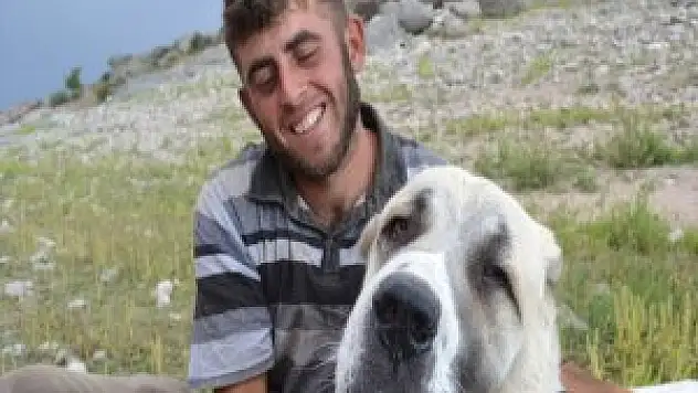 Çobanların Can Yoldaşı 'Aksaray Malaklısı'