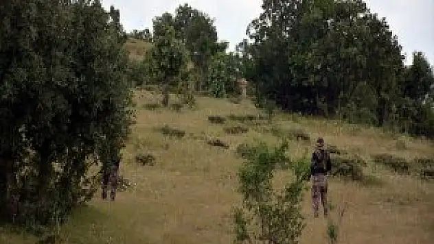 Muş Ve Bitlis'te Toplamda 4 Terörist Etkisiz Hale Getirildi