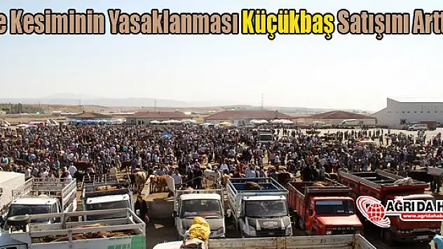 Düve Kesiminin Yasaklanması Küçükbaş Satışını Arttırdı