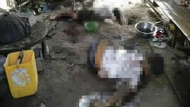 Arakanlı Müslümanların Yaşadığı Dehşet Dolu Anlar