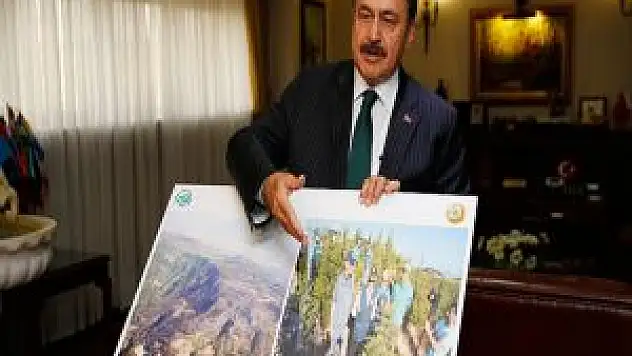 Orman Yangınlarında 8 Bin Hektar Alan Zarar Gördü