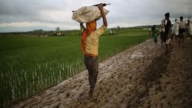 Bangladeş'e Geçen Arakanlı Müslümanların Sayısı Artıyor