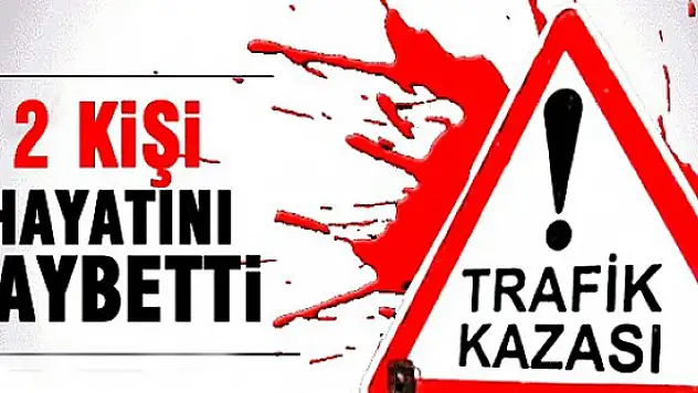 Ağrı'da Minübüs Şöförü köpeğe çarpamak için manevra yaptı Kazada: 2 Ölü, 9 Yaralı