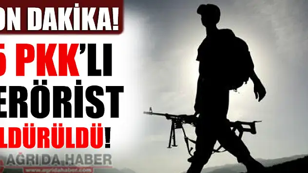 Tendürek Dağında 5 Terörist Etkisiz Hale Getirildi!