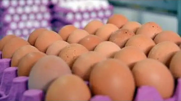 Gıda, Tarım Ve Hayvancılık Bakanı Fakıbaba: Türkiye'de Fipronilli Yumurta Tespit Edilmedi
