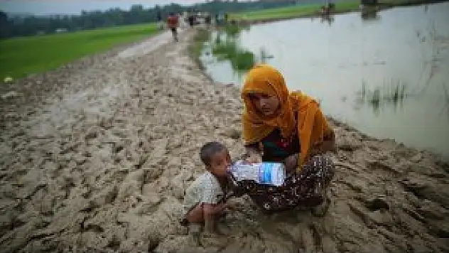Yurtdışındaki Filistin Alimler Heyeti'nden Arakan Çağrısı