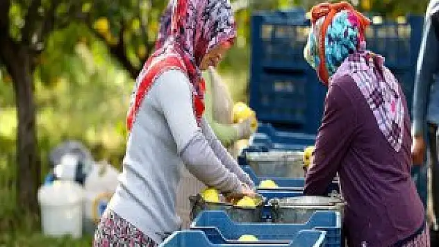 Rusya'ya İhracat Yüz Güldürüyor