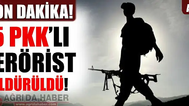Ağrı Haber: Tendürek Dağında Helikopter Operasyon 5 Terörist öldürüldü