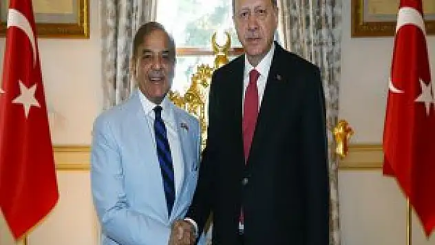 Cumhurbaşkanı Erdoğan, Pakistan Pencap Eyalet Başbakanını Kabul Etti