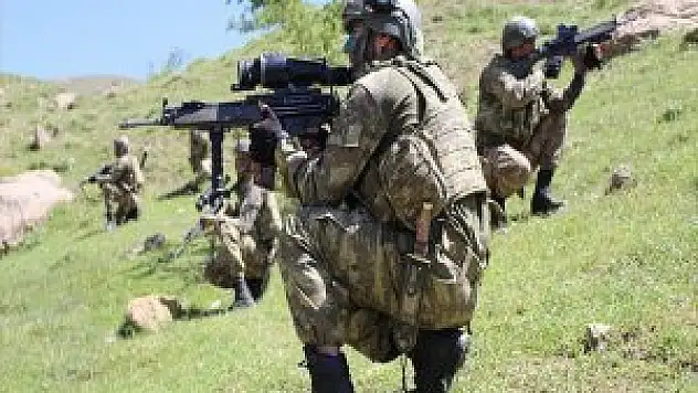 Silopi'de Terör Operasyonu: 2 Terörist Etkisiz Hale Getirildi