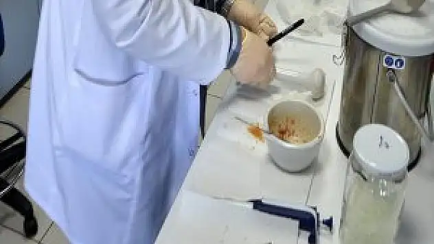 Gıda Katkı Maddelerine Yeni Düzenleme!
