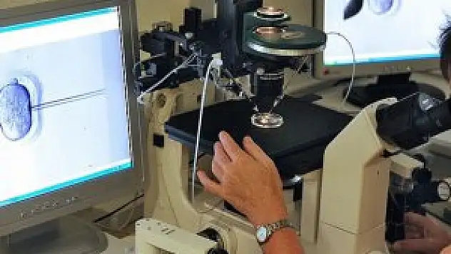 'Obezite Tüp Bebek Tedavisini Olumsuz Etkiliyor'