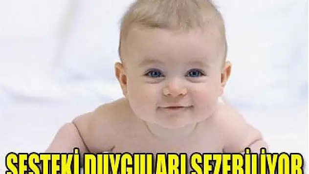 Bebekler sesteki duyguları sezebiliyor