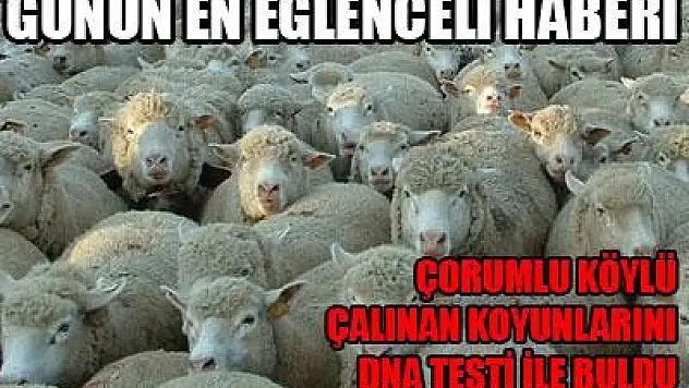 Günün en eğlenceli haberi