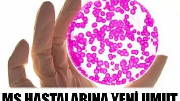 MS hastalarına kök hücre tedavisi