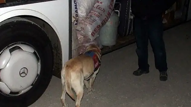 Amasya'da 12 Kilo Eroin Ele Geçirildi