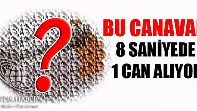 8 SANİYEDE 1 CAN ALIYOR