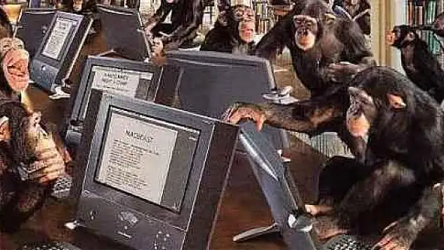 Maymunlara uygun işyerleri