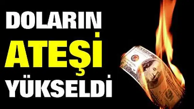 Doların ateşi yükseldi