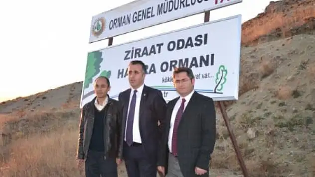 Ağrı Ziraat Odası Yazıcı Barajına 60 Bin Fidan Dikti
