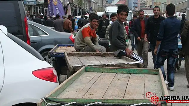 El Arabası Ve Ağrı'da Yaşam Mücadelesi…