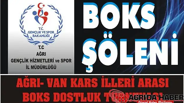 BOKS TURNUVASINA DAVET