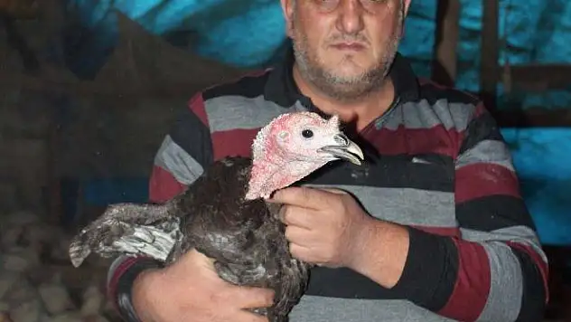 Ağrı'da, tavuk ve hindi satıcılığı yapan bir esnaf, yılbaşının yaklaşmasıyla birlikte hindi satışı yapmadığını söyledi.