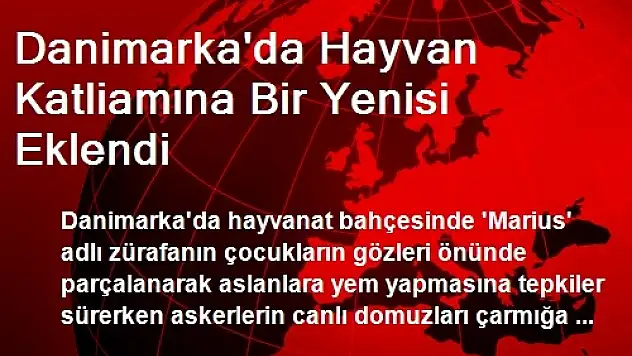 Danimarka'da Hayvan Katliamına Bir Yenisi Eklendi